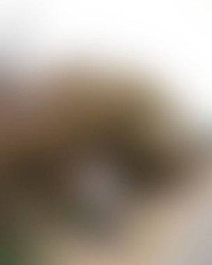 Renklerin soyut bulanık arkaplanı