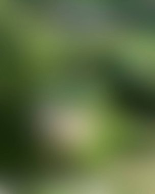 Renklerin soyut bulanık arkaplanı