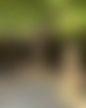 Renklerin soyut bulanık arkaplanı