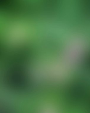 Renklerin soyut bulanık arkaplanı