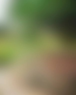 Renklerin soyut bulanık arkaplanı