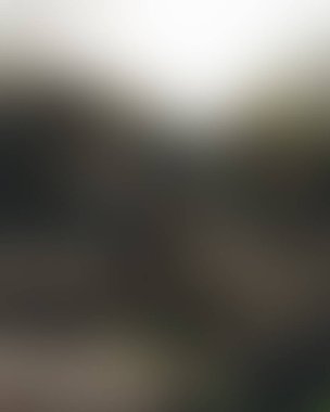 Renklerin soyut bulanık arkaplanı