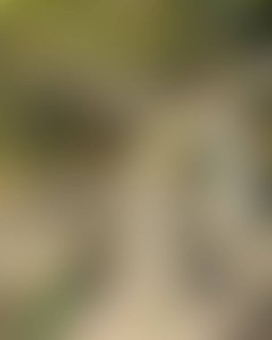 Renklerin soyut bulanık arkaplanı