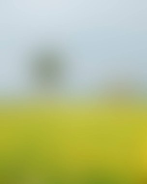 Renklerin soyut bulanık arkaplanı