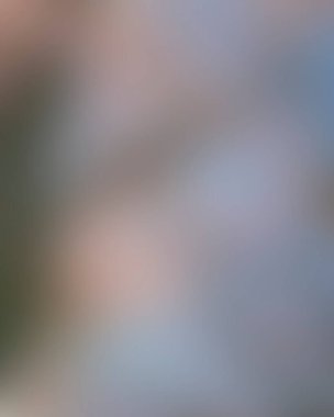 Renklerin soyut bulanık arkaplanı