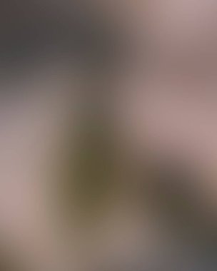 Renklerin soyut bulanık arkaplanı