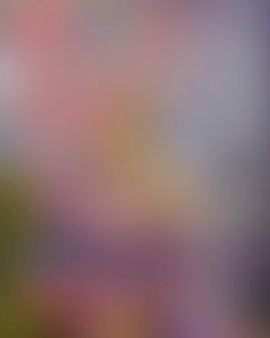 Renklerin soyut bulanık arkaplanı