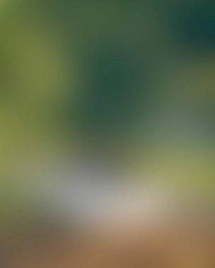 Renklerin soyut bulanık arkaplanı