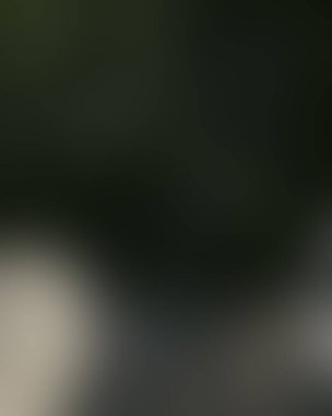 Renklerin soyut bulanık arkaplanı