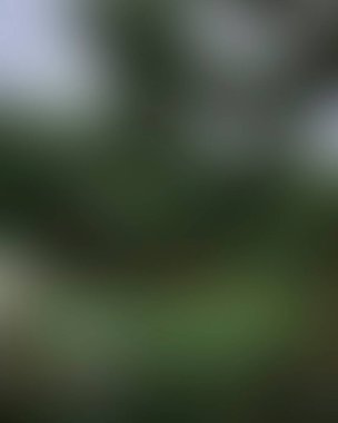 Renklerin soyut bulanık arkaplanı