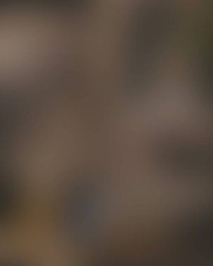 Renklerin soyut bulanık arkaplanı