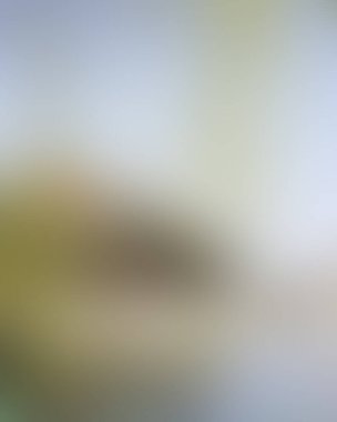 Renklerin soyut bulanık arkaplanı