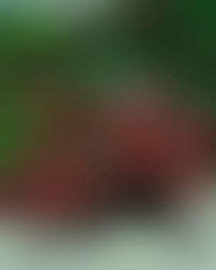 Renklerin soyut bulanık arkaplanı