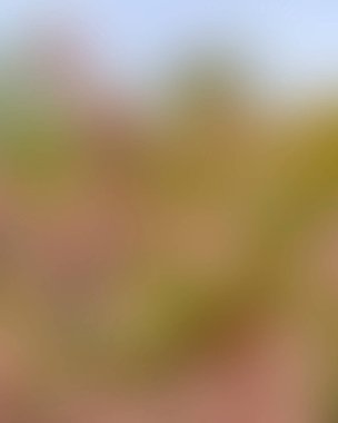 Renklerin soyut bulanık arkaplanı