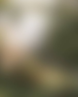 Renklerin soyut bulanık arkaplanı