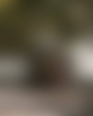 Renklerin soyut bulanık arkaplanı