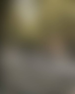 Renklerin soyut bulanık arkaplanı