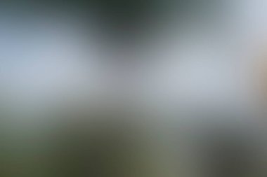 Renklerin soyut bulanık arkaplanı