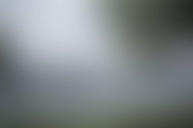 Renklerin soyut bulanık arkaplanı