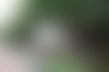 Renklerin soyut bulanık arkaplanı