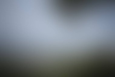 Renklerin soyut bulanık arkaplanı