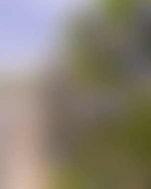 Renklerin soyut bulanık arkaplanı