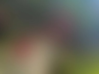 Renklerin soyut bulanık arkaplanı