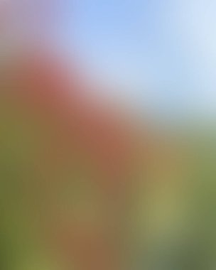 Renklerin soyut bulanık arkaplanı