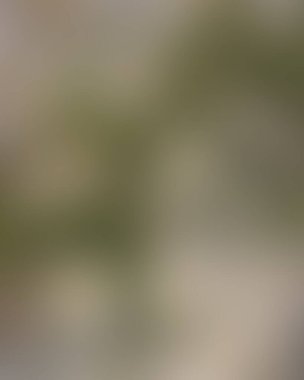 Renklerin soyut bulanık arkaplanı