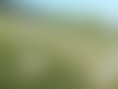 Renklerin soyut bulanık arkaplanı