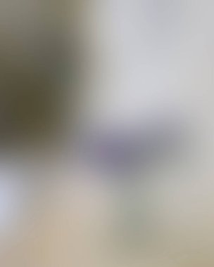 Renklerin soyut bulanık arkaplanı