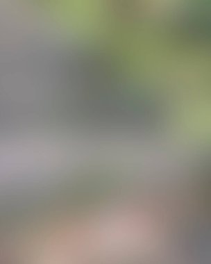 Renklerin soyut bulanık arkaplanı