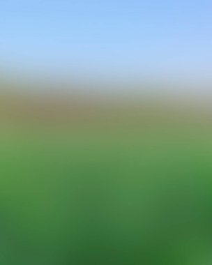 Renklerin soyut bulanık arkaplanı