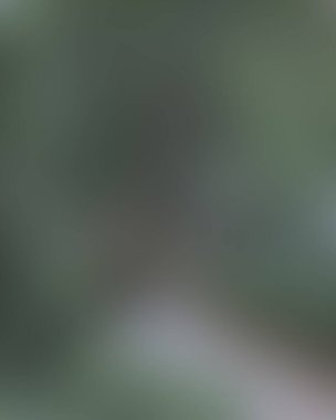 Renklerin soyut bulanık arkaplanı