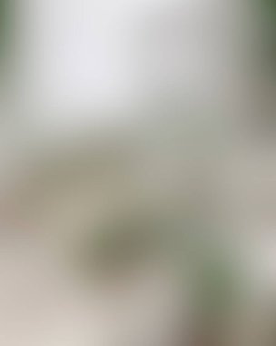 Renklerin soyut bulanık arkaplanı