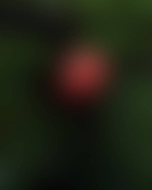 Renklerin soyut bulanık arkaplanı