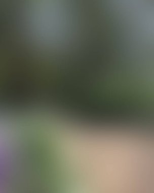 Renklerin soyut bulanık arkaplanı