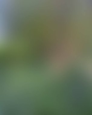 Renklerin soyut bulanık arkaplanı