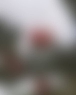 Renklerin soyut bulanık arkaplanı