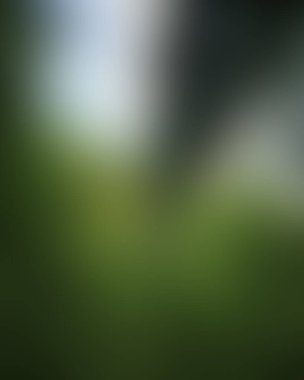 Renklerin soyut bulanık arkaplanı