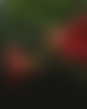 Renklerin soyut bulanık arkaplanı