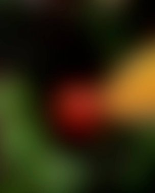 Renklerin soyut bulanık arkaplanı