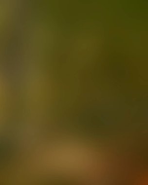 Renklerin soyut bulanık arkaplanı