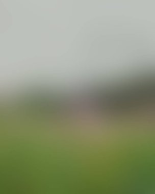 Renklerin soyut bulanık arkaplanı