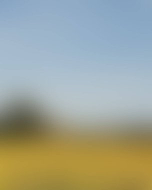 Renklerin soyut bulanık arkaplanı