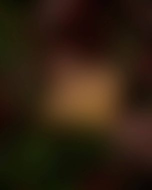 Renklerin soyut bulanık arkaplanı