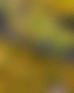 Renklerin soyut bulanık arkaplanı