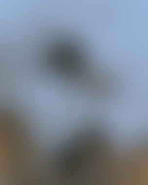 Renklerin soyut bulanık arkaplanı