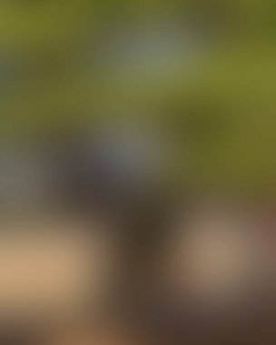 Renklerin soyut bulanık arkaplanı