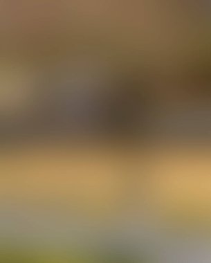 Renklerin soyut bulanık arkaplanı